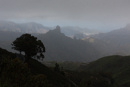 Climbing to Cruz de Tejeda