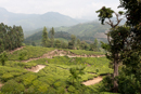 In the Western Ghats