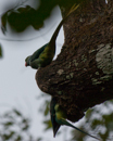 In Periyar National Park