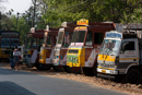 Trucks at the cattle market