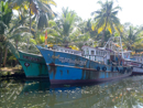 Fishing boats