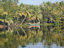 The Kerala backwaters