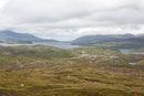 Harris from Scalpay