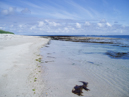 On Papa Westray