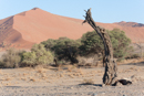 Sossusvlei