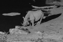 Nighttime Waterhole - Etosha