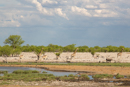 Waterhole - Etosha