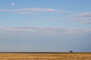 Super Moon - Etosha