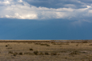 Etosha