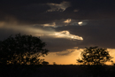 Etosha