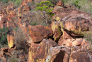 Waterberg Plateau