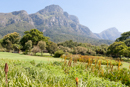 Kirstenbosch Gardens