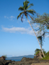 Corcovado national park