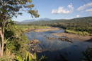 A river full of crocodiles