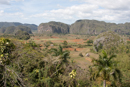 Vinales