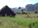 Vinales