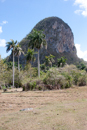 Vinales