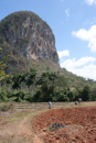 Vinales