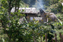 In Topes de Collantes national park