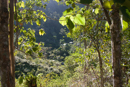 In the Sierra Maestra